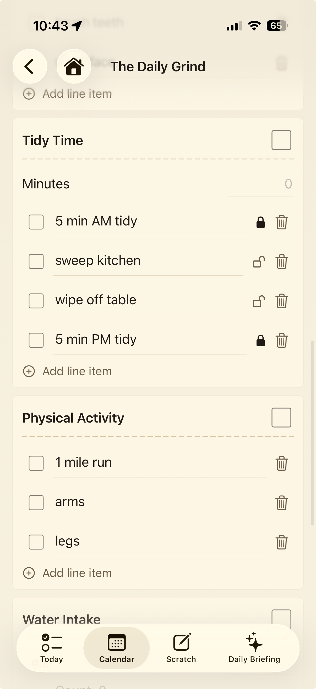 Daily Grind worksheet showing Tidy Time and Physical Activity sections with daily routine items